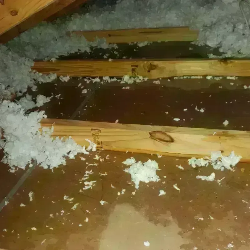 Attic Water Damage in Papaikou, HI