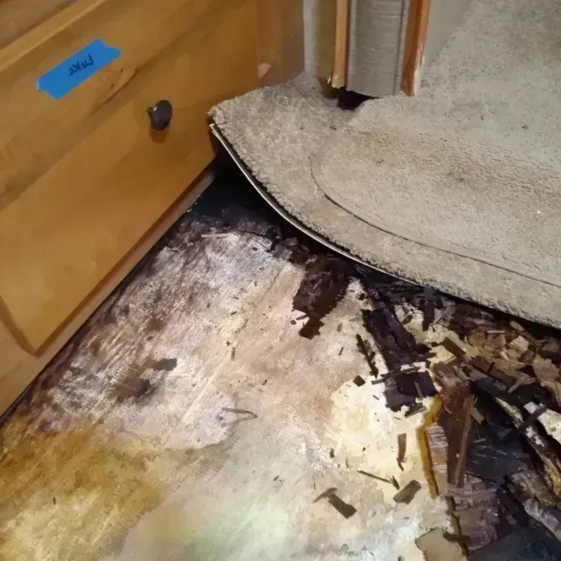 Wood Floor Water Damage in Papaikou, HI